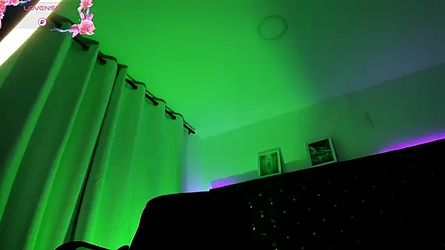 Онлайн чат XXX BellaRoge