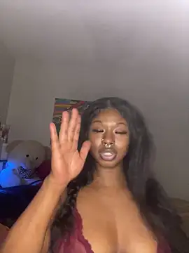 Show webcam de TinyBlazian901