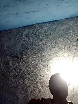 HungHangup: διαδικτυακό σόου στην κάμερ α