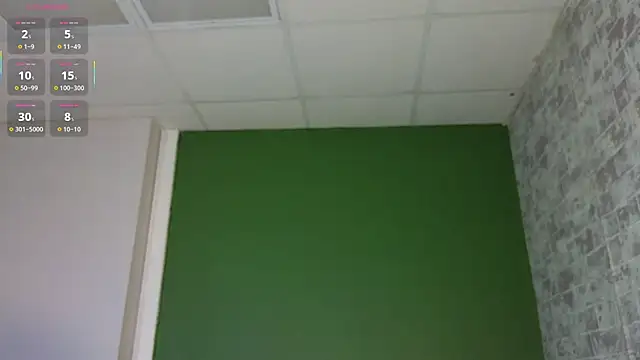 แชท XXX สดของ Vlada_vv