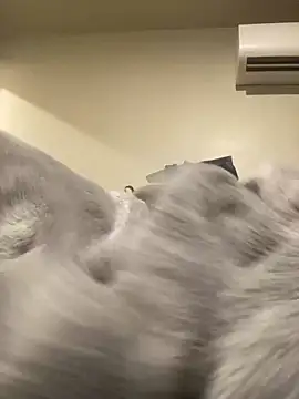 Živý XXX chat gaimov3r2024