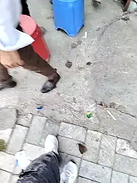 Chat XXX en directo de X-boy-11