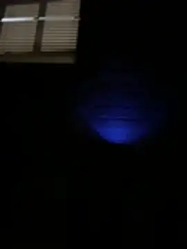 دردشة DripPleasure الجنسية المباشرة