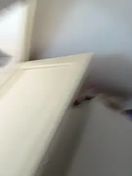 ambergirl14 Live XXX Chat