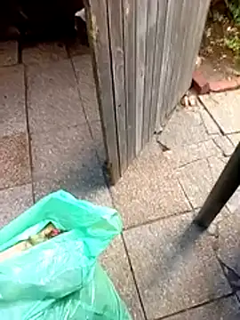 Chatroom XXX en direct de dicklife3485