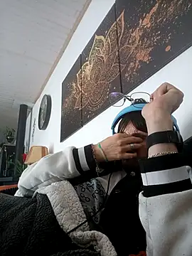 Show webcam de totolescientifique