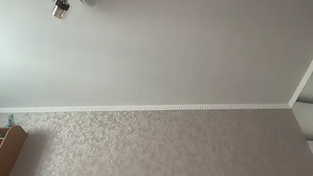 tomasdickpick – Kamerová šou