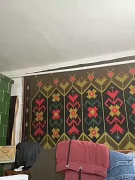 Show webcam de Frosl