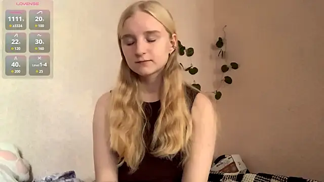 Show Webcam de ForwentSeat