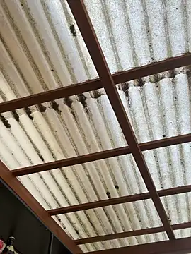 Gipsyboysteve Webcam-Show