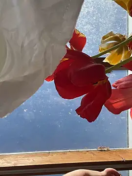 SummerHoney 网络视讯表演