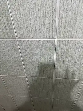 Онлайн чат XXX slave_pansilu