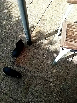 Вебкам-шоу dicklife3485