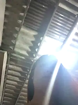 Samdangg Webcam-Show