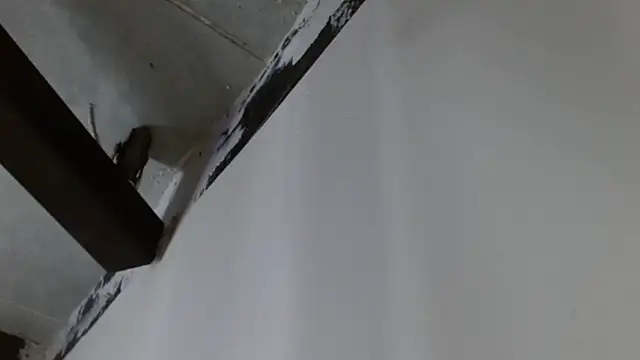 AlexaFontana Pertunjukan Webcam