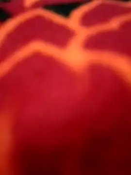 Nandani-758 라이브 XXX 채팅