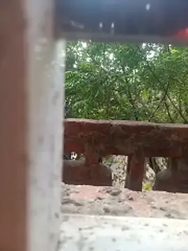 Pokazy przed kamerką – FinableKnee