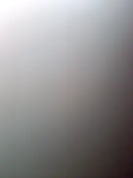 fepintudo Pertunjukan Webcam