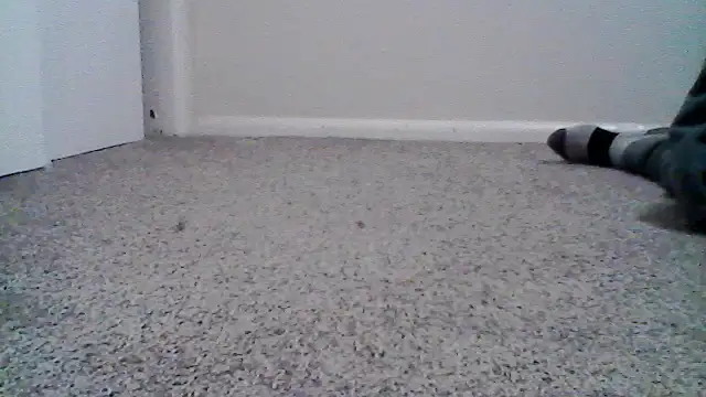 OvermuchMaid's Webcam Show