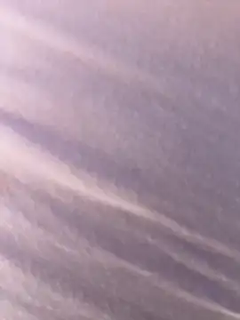 didihairypussy – webcam-show