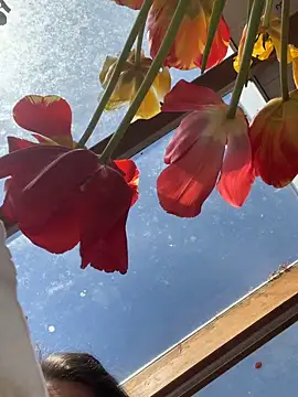 SummerHoney Webcam-Show