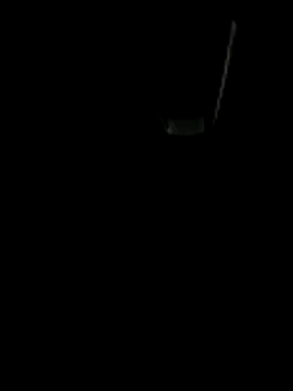 HK-TIGER Pertunjukan Webcam