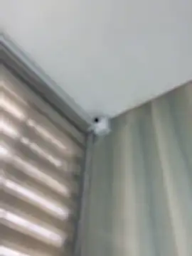 AlanaMartinez_Pink Show in webcam