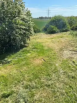 عرض كام AmjadAlpha