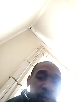 Dibobo4 在線直播表演