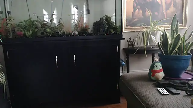 Pokazy przed kamerką – EspanolVato