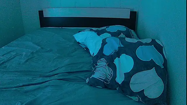 Snow-Bars77 – webcam-show