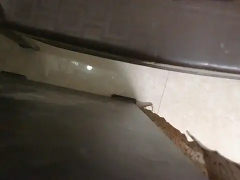 Stubborndesiboy 网络视讯表演