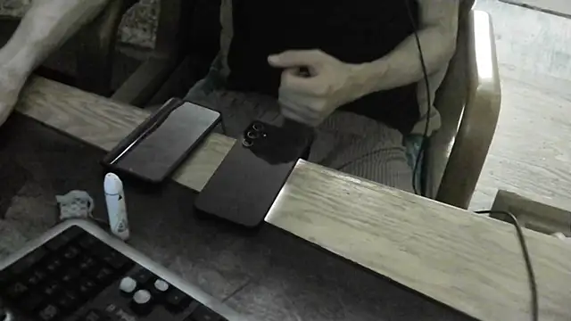 Pertunjukan Kamera Web FiSTALiTY