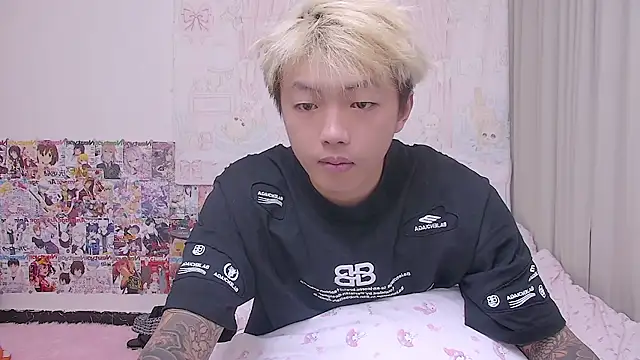 Chocolates-001 Show Webcam