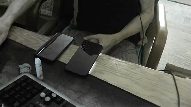 Show webcam de FiSTALiTY