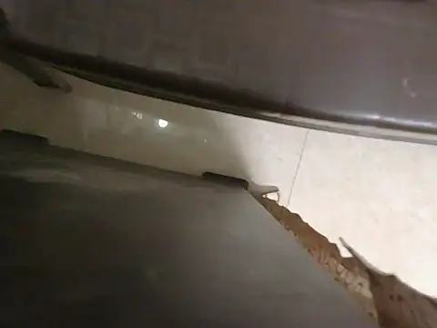 Stubborndesiboy Webcam show