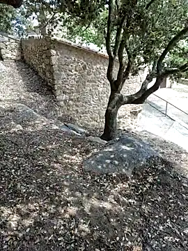 Živý XXX chat SEXY-ZOE