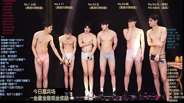 Show Webcam de CH-YYDS-001