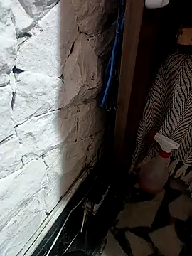 Mailsonpのウェブカメラショー