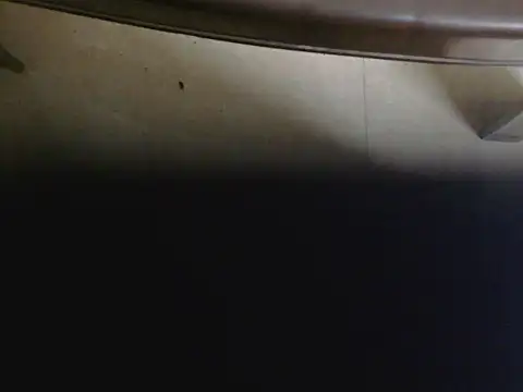 Show Webcam de Stubborndesiboy