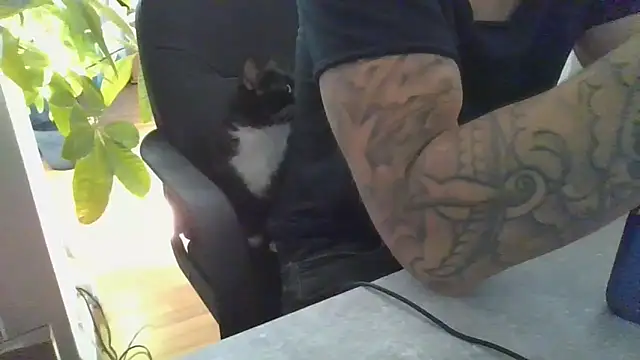 Kevoon991 Webcamshow