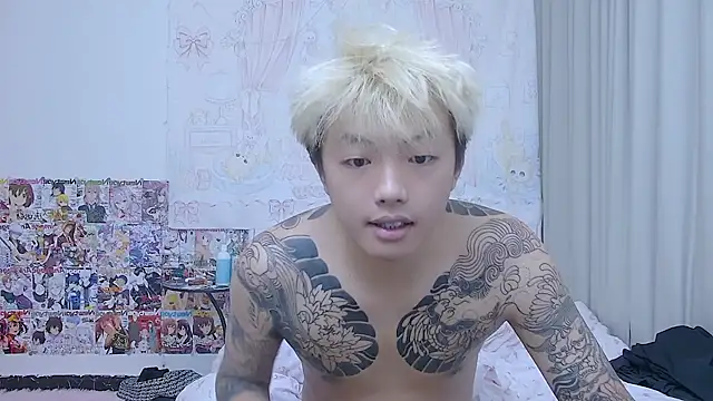 Chocolates-001 Show Webcam