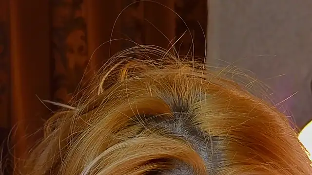 sinteas live XXX chat