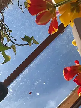 Sembang XXX Secara Langsung SummerHoney