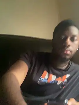 ThickDic28 Show in webcam