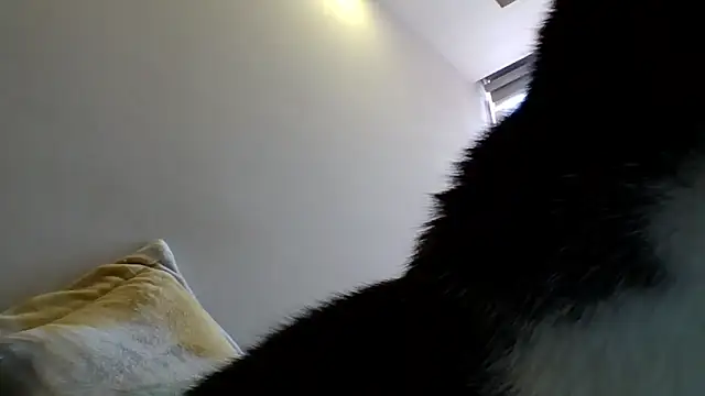 Chat XXX en directo de _isaabellaa