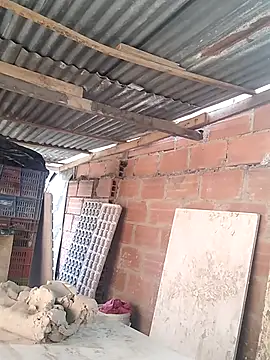 Chat XXX Live hoteder