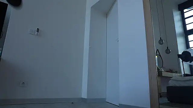 ibiddi 라이브 XXX 채팅