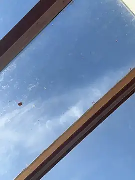 SummerHoney Adlı Modelin Canlı XXX Sohbeti