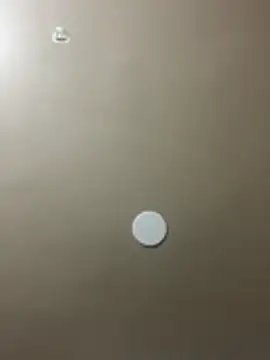 Chat +18 de perra89 ao vivo